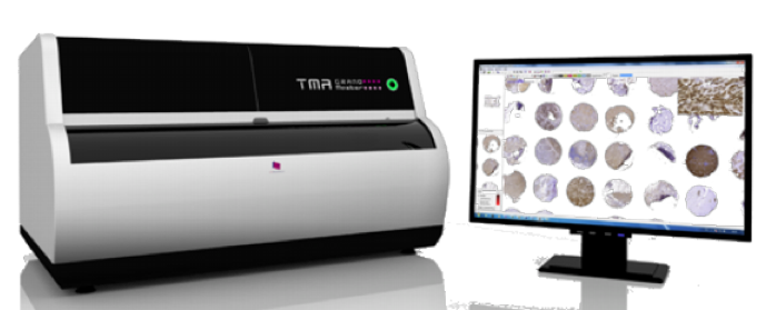 Enlarged view: Histology Tissue Micro Array