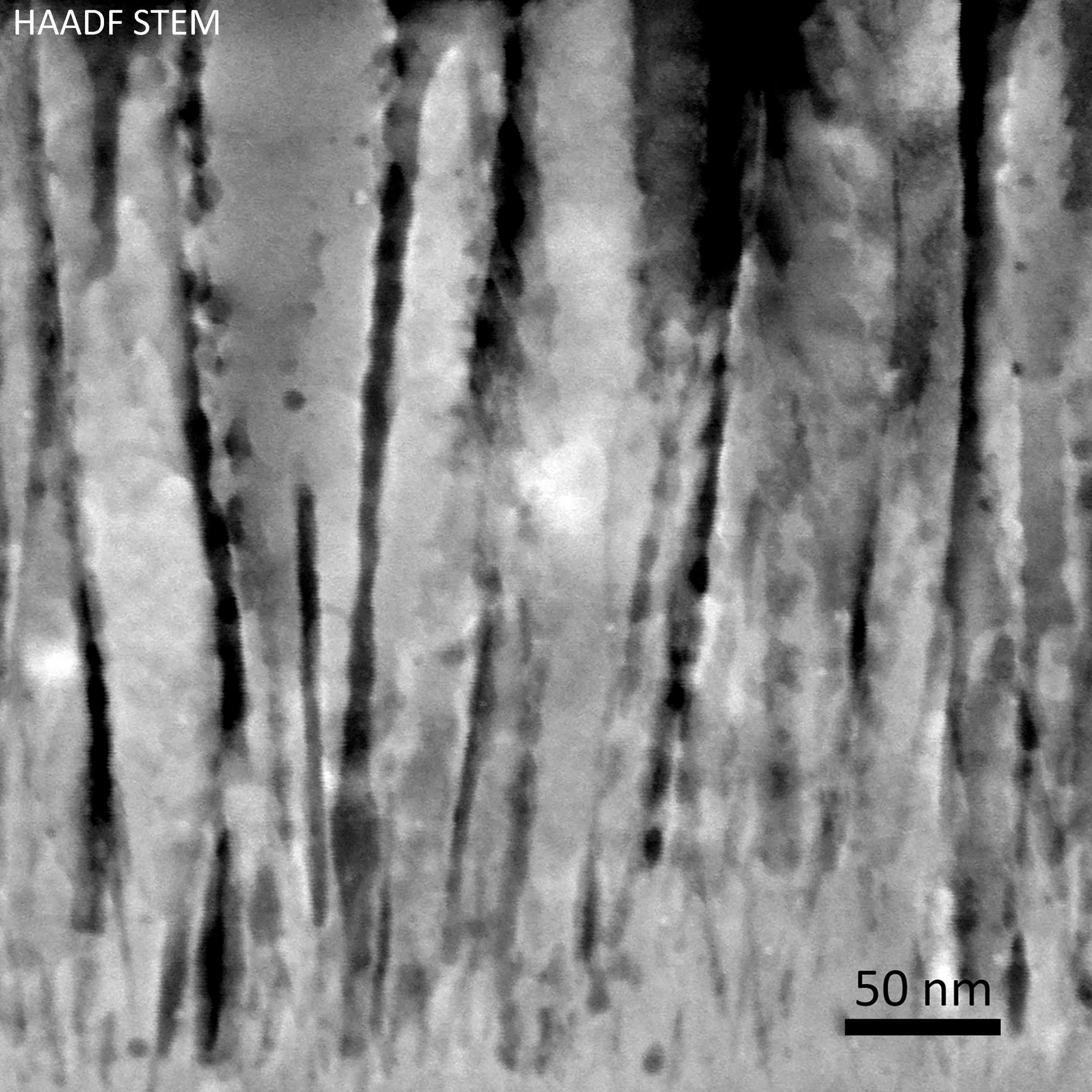 Enlarged view: columnar morphology